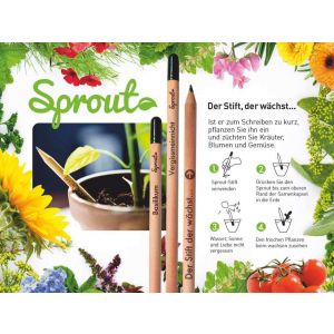 Sprout Bleistift zum Einpflanzen    